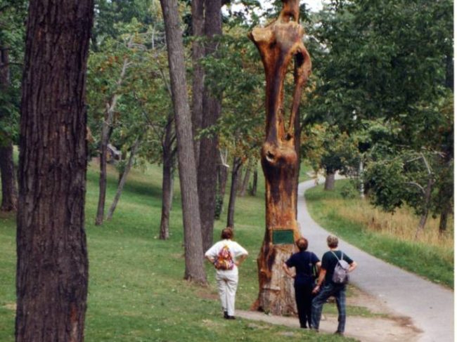 Sentier de la Sentinelle