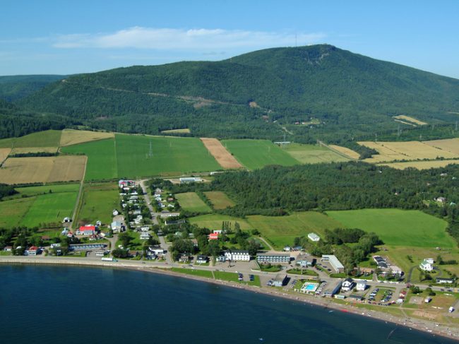 Coteaux à Taguine