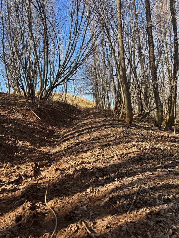 Vue en contre-plongée depuis la côte à Adélard
