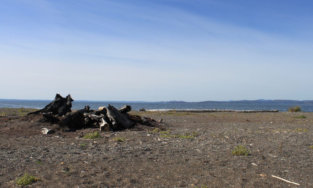Banc Laroque à Carleton-sur-Mer